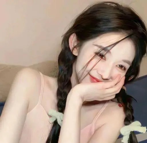 科搜研之女2022